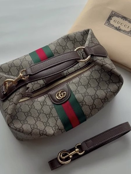 Gucci ophidia ✨