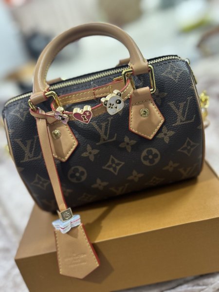 شنطة LVحجم صغير