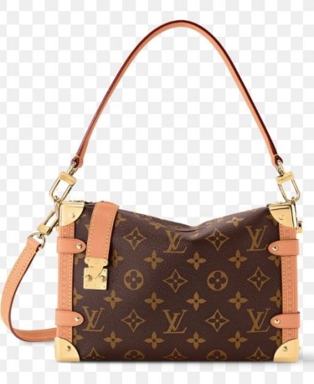 LV Soft Trunk Shoulder Bag