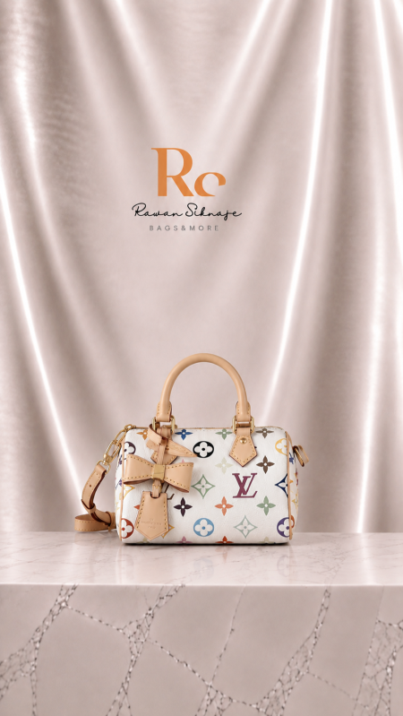 Louis Vuitton Speedy Multicolor